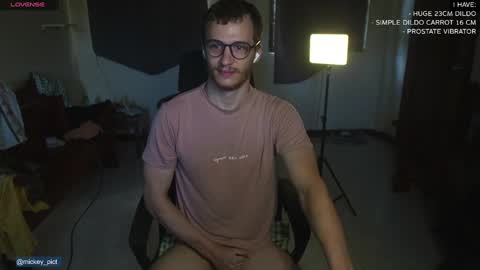 Snapshot of mickey_pict chatting on 12-14-24, 01:50 Mickey online show from 12-14-24, 01:50