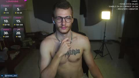 Snapshot of mickey_pict chatting on 12-15-24, 05:02 Mickey online show from 12-15-24, 05:02