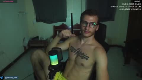 Snapshot of mickey_pict chatting on 12-30-24, 01:25 Mickey online show from 12-30-24, 01:25