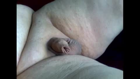 micropimmel online show from 09-16-25, 03:02