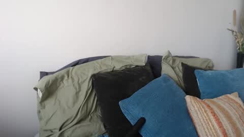 MidsummerNightsDream online show from 01-05-26, 05:27