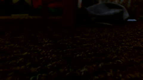 Snapshot of miguel320129 chatting on 12-24-24, 05:55 Miggy online show from 12-24-24, 05:55