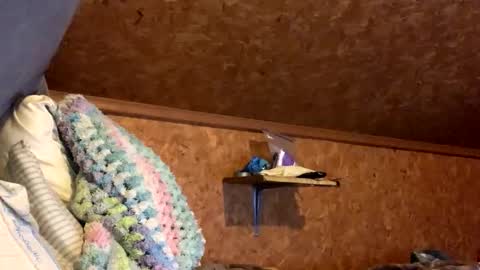 mikeblair5081 online show from 12-18-25, 02:06