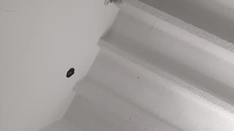 Miki online show from 01-08-25, 04:22