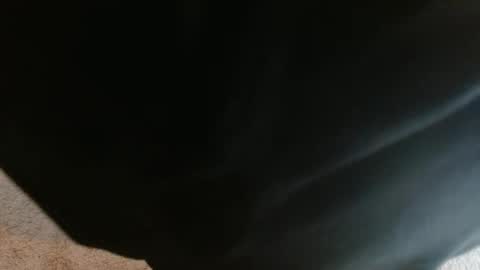 Snapshot of mikehey1 chatting on 10-01-25, 03:51 mikehey1 online show from 10-01-25, 03:51