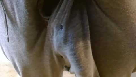 Snapshot of mikehey1 chatting on 11-27-25, 08:55 mikehey1 online show from 11-27-25, 08:55