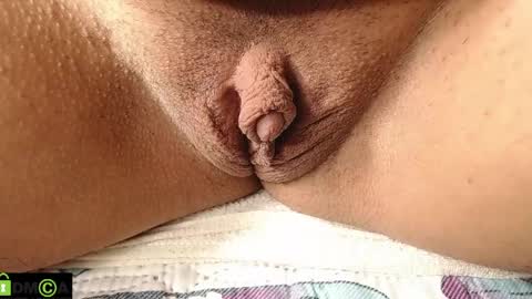 Mikell Williams online show from 04-06-26, 01:12