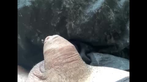 mikke332 online show from 02-10-25, 11:57