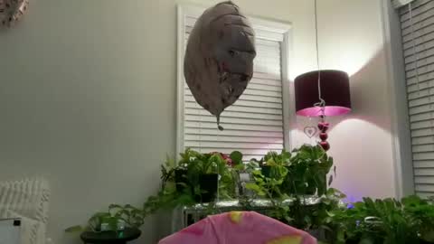Snapshot of milf_goddess chatting on 07-13-26, 02:36 MIlf Goddess online show from 07-13-26, 02:36