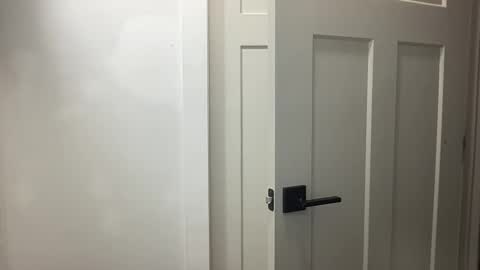 HungCollege online show from 11-17-25, 03:34