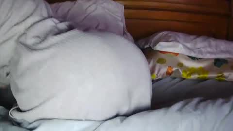 MilfyTitts online show from 10-16-25, 12:39