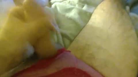 milkncookies8 online show from 10-03-25, 05:59