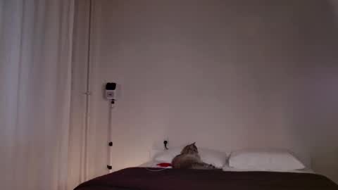 Snapshot of milky__way_ chatting on 10-05-25, 03:10 milky__way_ online show from 10-05-25, 03:10