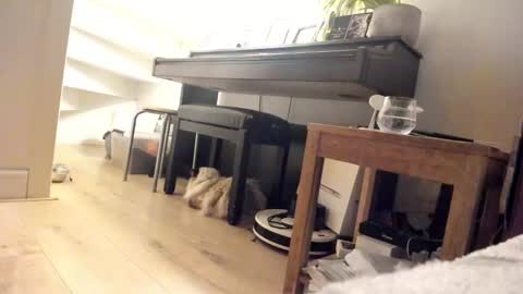 Milu online show from 03-05-25, 03:40