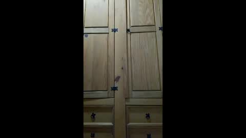 mineiro1514 online show from 04-06-26, 01:14