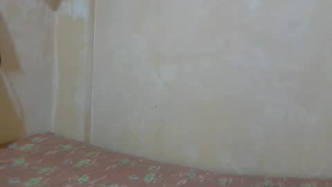 Im Ping online show from 01-11-26, 05:12