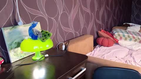 Snapshot of miriamor chatting on 06-14-26, 07:43 Mira online show from 06-14-26, 07:43