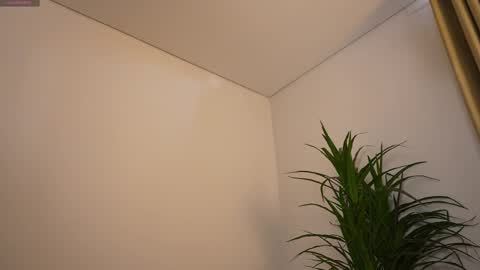 miss airi online show from 03-01-26, 03:03