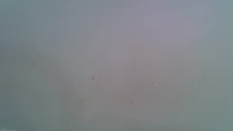 miss_rihanna2 online show from 02-04-26, 07:09