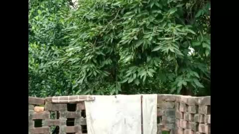 Zoya Khan online show from 09-16-25, 04:35