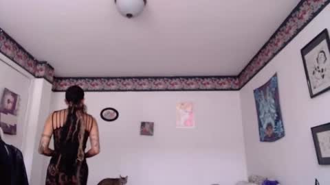 Snapshot of missanarky chatting on 01-30-25, 08:31 Anarkitten online show from 01-30-25, 08:31