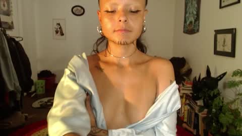 Snapshot of missanarky chatting on 02-11-25, 02:14 Anarkitten online show from 02-11-25, 02:14