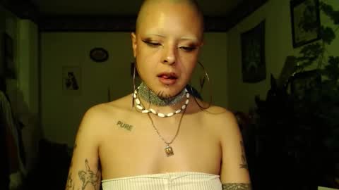 Snapshot of missanarky chatting on 12-19-25, 12:17 Anarkitten online show from 12-19-25, 12:17