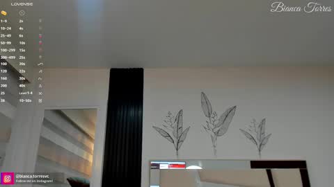 Bianca Torres online show from 02-14-25, 11:20