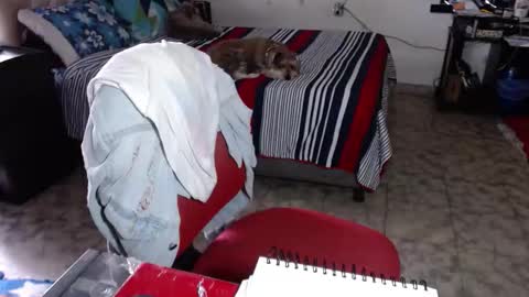 Maria Gomezz online show from 02-02-26, 05:33