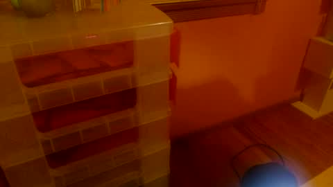 Snapshot of misskittyfox chatting on 06-25-26, 04:56 MissKittyFox online show from 06-25-26, 04:56