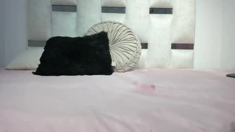 Snapshot of missnatasha05 chatting on 09-26-25, 12:03 missnatasha05 online show from 09-26-25, 12:03