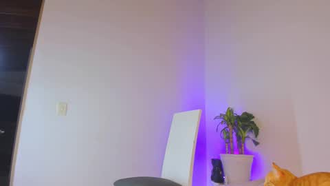 misspaulag online show from 02-14-25, 12:41