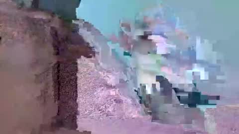 Mister Gringo online show from 02-11-26, 05:40