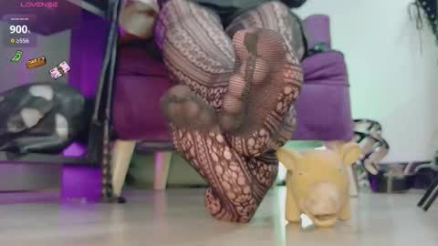 Jhadee online show from 02-23-26, 11:46