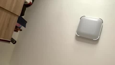 mitchi198989 online show from 04-03-26, 08:56