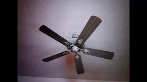 BobbyMitchGa online show from 12-15-24, 07:24