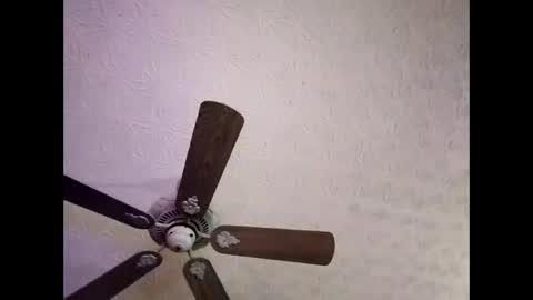 BobbyMitchGa online show from 01-04-25, 06:41