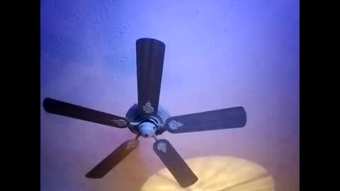 BobbyMitchGa online show from 01-20-25, 05:59