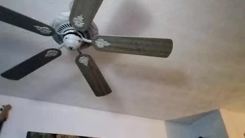 BobbyMitchGa online show from 09-27-25, 12:10