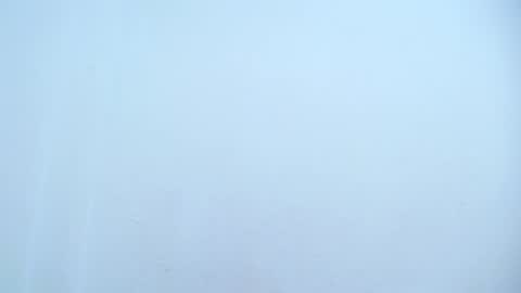 Catalina online show from 03-08-25, 08:33