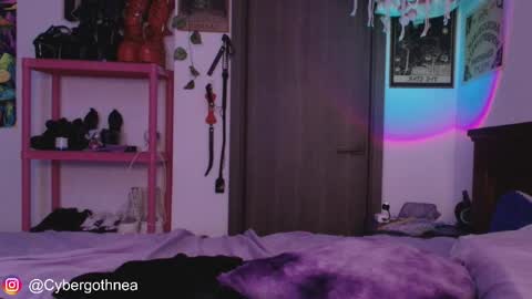 mollycrystalll online show from 04-15-26, 07:59