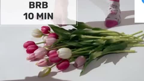 Mommy online show from 03-02-26, 05:08