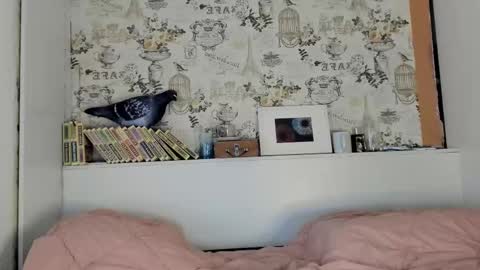 Liza online show from 09-15-25, 09:59