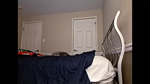 Snapshot of moneyboysaveg584 chatting on 04-12-26, 10:09 moneyboysaveg584 online show from 04-12-26, 10:09