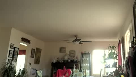 Monkee Dance online show from 01-01-25, 07:43