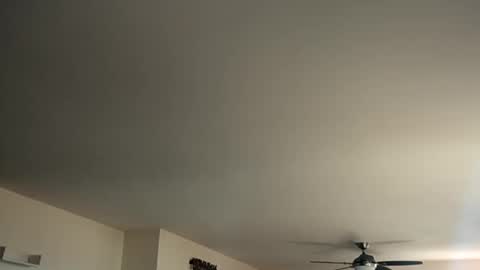 Monkee Dance online show from 01-12-25, 05:44