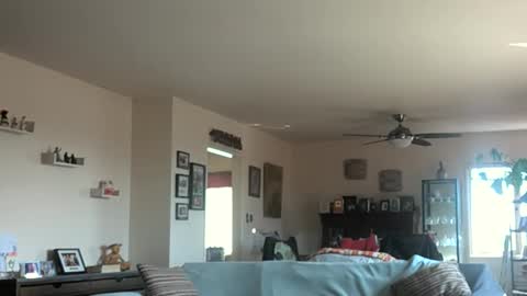 Monkee Dance online show from 03-03-25, 10:10