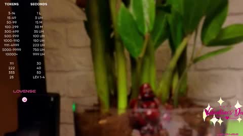 Snapshot of moon_deity chatting on 02-14-25, 04:20 Luna online show from 02-14-25, 04:20