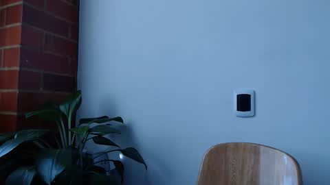 Abelardo online show from 03-20-26, 06:13