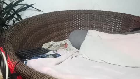 John john online show from 02-17-25, 04:31